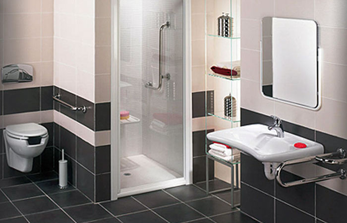 Bathroom accessories for people with disabilities fittings Poland