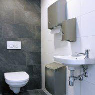Bathroom accessories for people with disabilities fittings Poland